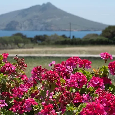 Vent D'est, Isterni, Paros بيت للعطل *